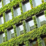 Naturalna harmonia w przestrzeni mieszkalnej