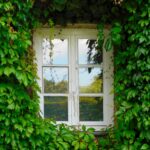 Zazielenianie przestrzeni miejskich: innowacyjne podejście do ogrodnictwa