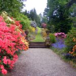 Tworzenie przestrzeni zielonych w urbanistycznym krajobrazie