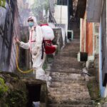 Zwalczanie szkodników metodą fumigacji: Profesjonalne podejście do ochrony domu