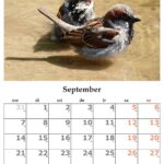 Planowanie i organizacja w pracy: niezbędne narzędzia