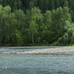 Przygoda na wodzie – jak rafting w Pieninach zyskuje na popularności?