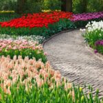 Przemyślana aranżacja przestrzeni przydomowej