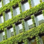 Zielone ściany jako element nowoczesnej architektury