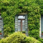 Zielona aranżacja przestrzeni w nowoczesnym wydaniu